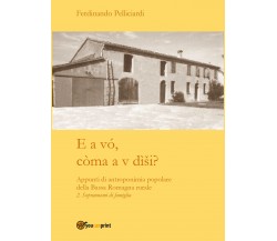 E a vó, còma a v dìši? di Ferdinando Pelliciardi,  2022,  Youcanprint