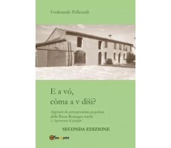  E a vó, còma a v dìši? di Ferdinando Pelliciardi, 2022, Youcanprint