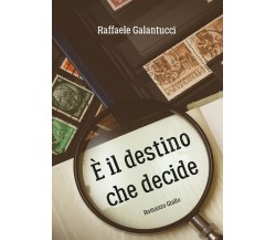 E’ il destino che decide	 di Raffaele Galantucci,  2017,  Youcanprint