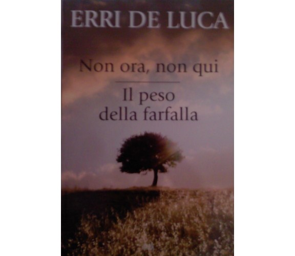 ERRI DE LUCA NON ORA, NON QUI - IL PESO DELLA FARFALLA MONDADORI 2010