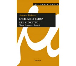 ESERCIZI DI FATICA DEL CONCETTO	 di Antonio Peduzzi,  Solfanelli Edizioni