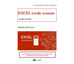 EXCEL LIVELLO AVANZATO - Analisi dei dati,  2019,  Youcanprint - ER