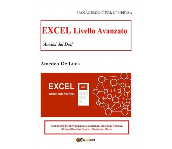 EXCEL LIVELLO AVANZATO - Analisi dei dati,  2019,  Youcanprint - ER