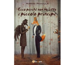 Ecco perchè non ho letto il piccolo principe, Marco Pedullà,  2017,  Youcanprint