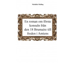 En roman om förste konsuln från den 18 Brumaire till freden i Amiens	