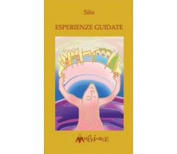 Esperienze guidate di Mario Rodríguez Cobos, Silo, 1996, Ass. Multimage