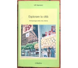 Esplorare la città. Antropologia della vita urbana di Ulf Hannerz, 1992, Il M