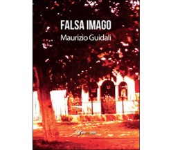 Falsa imago	 di Maurizio Guidali,  2015,  Youcanprint