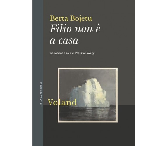 Filio non è a casa di Berta Bojetu, 2023, Voland