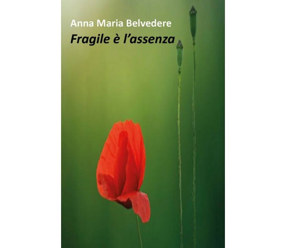 Fragile è l’assenza di Anna Maria Belvedere,  2018,  Youcanprint