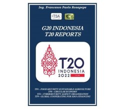 G20 Indonesia T20 Reports di Francesco Paolo Rosapepe, 2022, Youcanprint