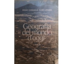 Geografia del mondo d’oggi - L’Italia di Cornaglia-lavagna,  1984,  Zanichelli