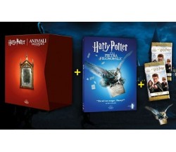 HARRY POTTER E LA PIETRA FILOSOFALE 1° DVD + cofanetto vuoto + figurine