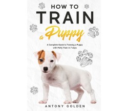 How to Train a Puppy di Antony Golden,  2021,  Youcanprint