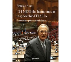 I 24 mesi che hanno messo in ginocchio l’Italia. Ecco come possiamo rialzarci
