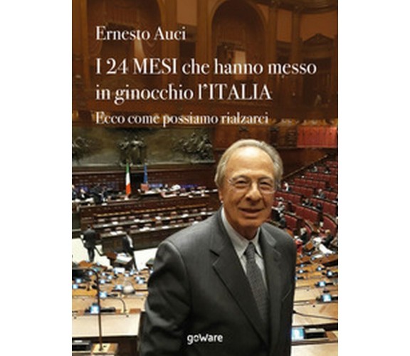 I 24 mesi che hanno messo in ginocchio l’Italia. Ecco come possiamo rialzarci