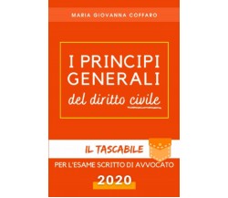 I Principi Generali Del Diritto Civile Il Tascabile per l’esame Scritto Di Avvoc