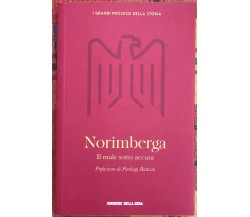  I grandi processi della storia n. 1 - Norimberga. Il male sotto accusa	 di Barb