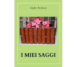 I miei Saggi	 di Giglio Reduzzi,  2020,  Youcanprint