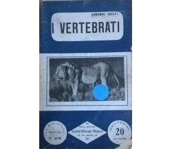 I vertebrati - Armando Guelfi (Società Editoriale Milanese) INTONSO Ca