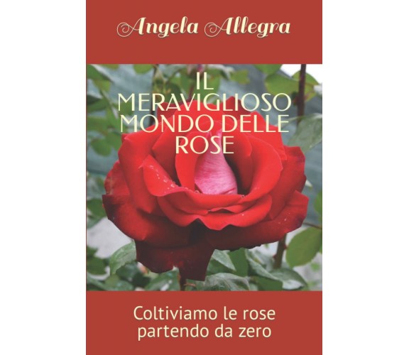 IL MERAVIGLIOSO MONDO DELLE ROSE: Coltiviamo le rose partendo da zero di Angela 