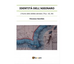 Identità dell’Assinaro - Vincenzo Garofalo,  2016,  Youcanprint
