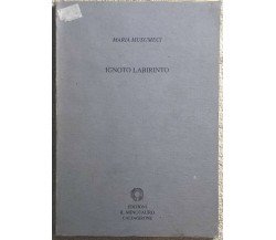Ignoto labirinto di Maria Musumeci,  2000,  Edizioni Il Minotauro