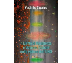 Il Diritto di Resistenza e Governo Globale nella visione dell’UNO	 di Vladimira 