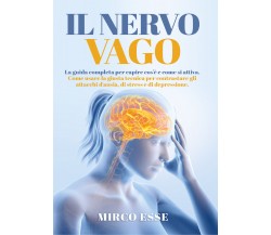 Il Nervo Vago. La guida completa per capire cos’è e come si attiva. Come usare l
