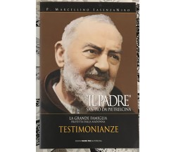 Il Padre. San Pio da Pietrelcina. La grande famiglia protetta dalla Madonna. Vol