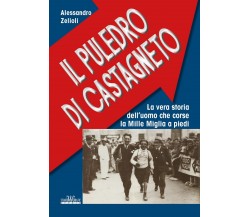 Il Puledro di Castagneto	 di Alessandro Zelioli,  2020,  Youcanprint