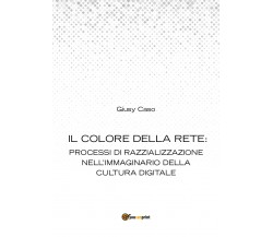 Il colore della rete -  Giusy Caso,  2014,  Youcanprint