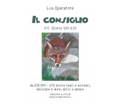 Il consiglio XV. Storie 197-210 da KM 800-279 storie reali e surreali, delicate 