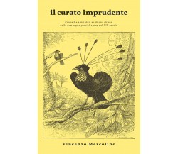 Il curato imprudente di Vincenzo Mercolino,  2021,  Youcanprint