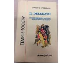 Il delegato. Storie incredibili di giovani DC in un decennio maledetto-Catellani