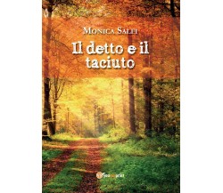 Il detto e il taciuto di Monica Salfi,  2016,  Youcanprint