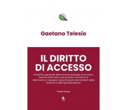 Il diritto di accesso	 di Gaetano Telesio,  2020,  Libellula Edizioni
