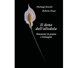 Il dono dell’allodola di Pierluigi Ronchi,  2017,  Youcanprint