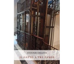  Il gatto a tre zampe di Antonio Delfini, 2023, Youcanprint