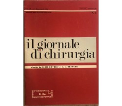 Il giornale di chirurgia n. 2 di G. Di Matteo E G. C. Bressan,  1982,  Edizioni 