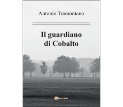 Il guardiano di Cobalto	 di Antonio Tramontano,  2016,  Youcanprint