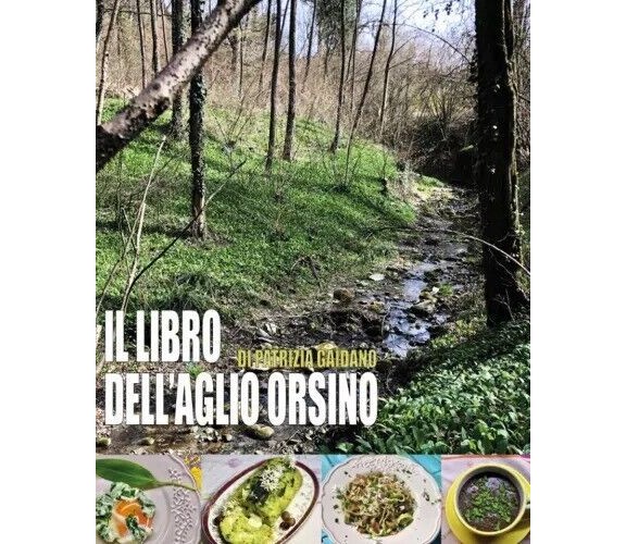  Il libro dell’aglio orsino di Patrizia Gaidano, 2023, Youcanprint