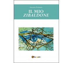 Il mio Zibaldone	 di Antonio Pettinato,  2015,  Youcanprint