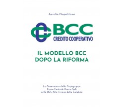 Il modello BCC dopo la Riforma	 di Aurelio Napolitano,  2020,  Youcanprint