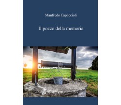 Il pozzo della memoria di Manfredo Capaccioli,  2020,  Youcanprint