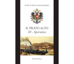 Il prato alto III - Speranza di Emilio Biagini, Maria Antonietta Biagini, 2020