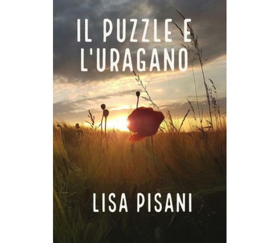 Il puzzle e l’uragano di Lisa Pisani,  2022,  Youcanprint