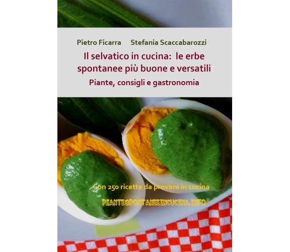 Il selvatico in cucina: le erbe spontanee più buone e versatili. Piante, cons.
