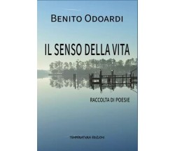 Il senso della vita di Benito Odoardi, 2023, Temperatura Edizioni