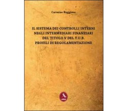 Il sistema dei controlli interni negli intermediari finanziari del titolo V